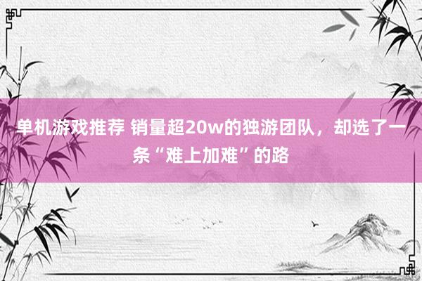 单机游戏推荐 销量超20w的独游团队，却选了一条“难上加难”的路