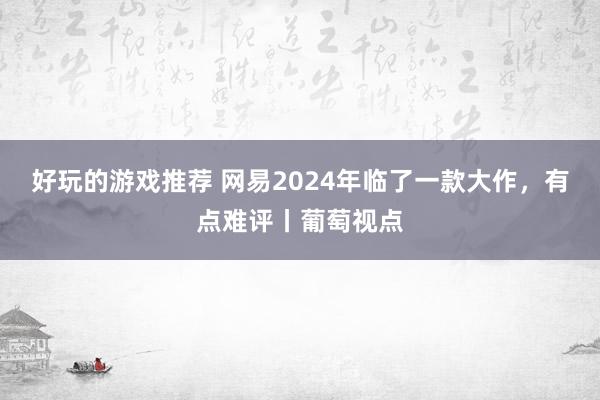 好玩的游戏推荐 网易2024年临了一款大作，有点难评丨葡萄视点