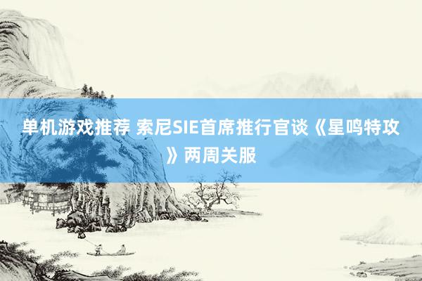 单机游戏推荐 索尼SIE首席推行官谈《星鸣特攻》两周关服